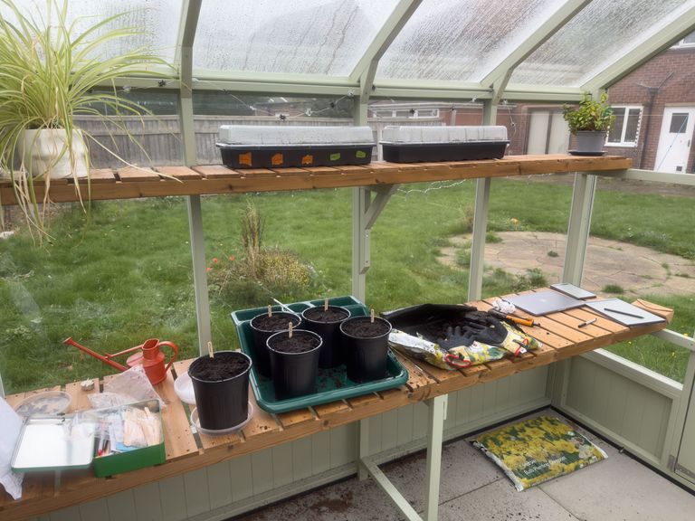 Artwork from project Studio and Life